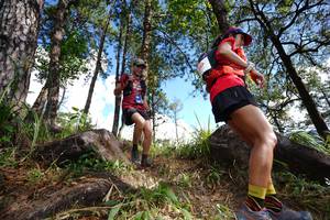 BIB: 
                            <button type="button" onclick="openModal(18888281)" class="btn btn-primary btn-sm float-right btn-popup" data-toggle="modal" data-target=".modal-high-quality">
                        <i class="fas fa-shopping-cart"></i> Add to Cart
                    </button>
                                            <button type="button" onclick="isThisMe(18888281, true)" class="btn btn-success btn-sm float-right btn-popup btn-isme hidden" data-toggle="tooltip" data-placement="bottom" title="นี่คือรูปของคุณใช่ไหม คลิกที่นี่เพื่อเอาเข้าอัลบั้ม">
                        <i class="fas fa-plus"></i> Add to album
                    </button>
                    <button type="button" onclick="isThisMe(18888281, false)" class="btn btn-warning btn-sm float-right btn-popup btn-isnotme hidden">
                        <i class="fas fa-ban"></i> Remove from album
                    </button>